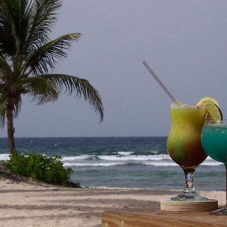 Hibiscus Beach Resort Christiansted Ngoại thất bức ảnh