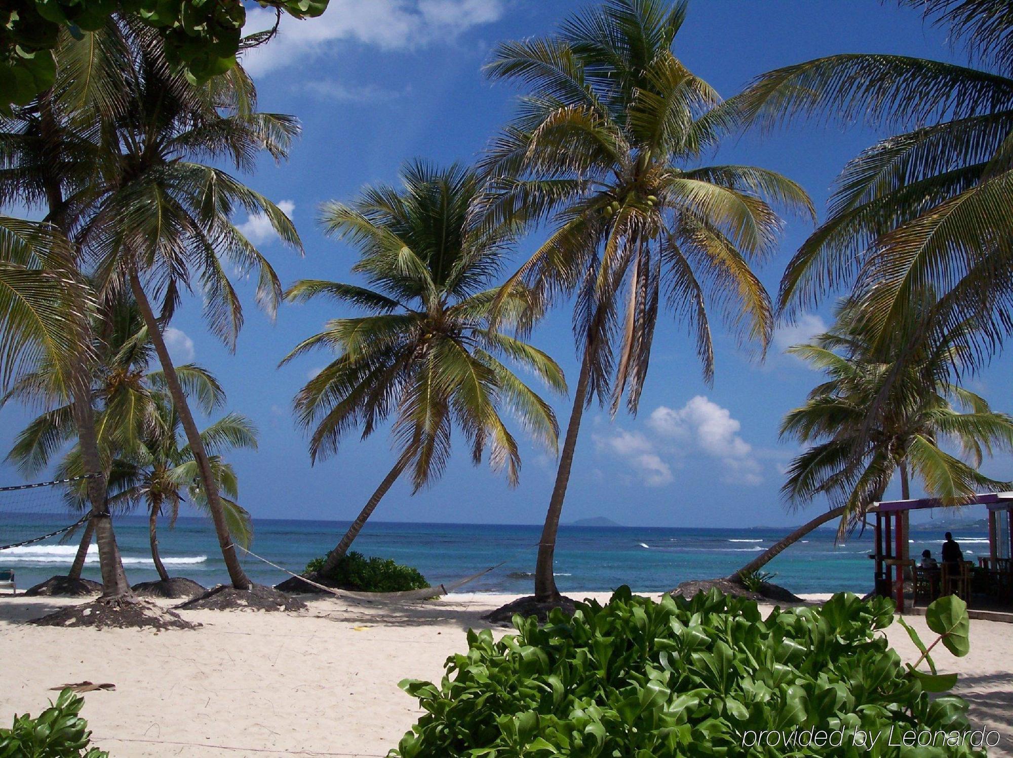 Hibiscus Beach Resort Christiansted Ngoại thất bức ảnh